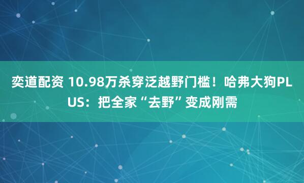 奕道配资 10.98万杀穿泛越野门槛！哈弗大狗PLUS：把全家“去野”变成刚需