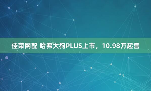 佳荣网配 哈弗大狗PLUS上市，10.98万起售