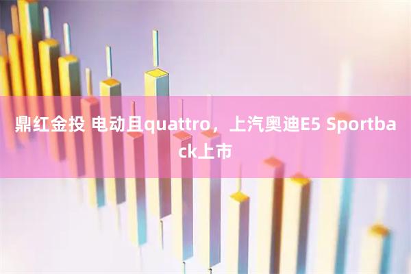 鼎红金投 电动且quattro，上汽奥迪E5 Sportback上市