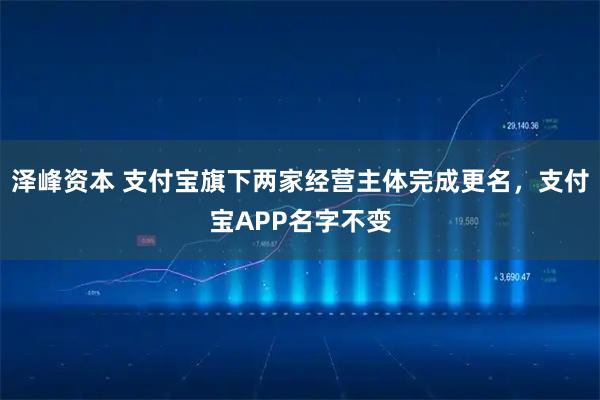 泽峰资本 支付宝旗下两家经营主体完成更名，支付宝APP名字不变
