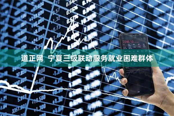 道正网  宁夏三级联动服务就业困难群体