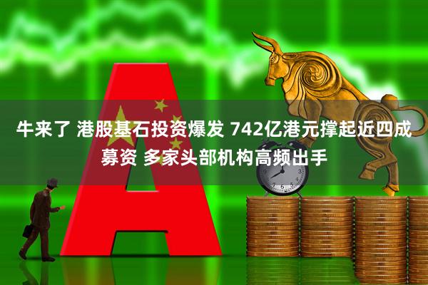 牛来了 港股基石投资爆发 742亿港元撑起近四成募资 多家头部机构高频出手
