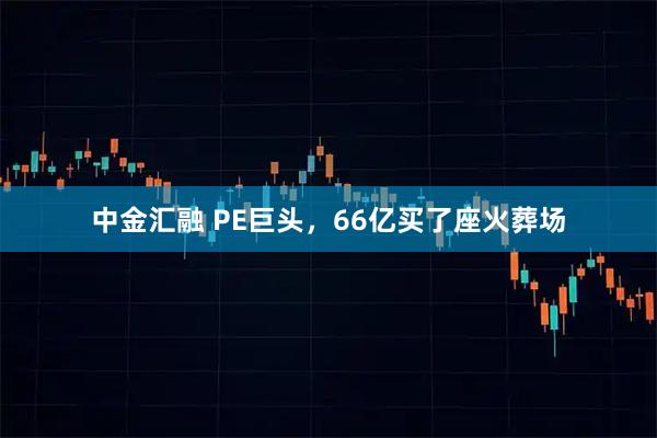中金汇融 PE巨头，66亿买了座火葬场