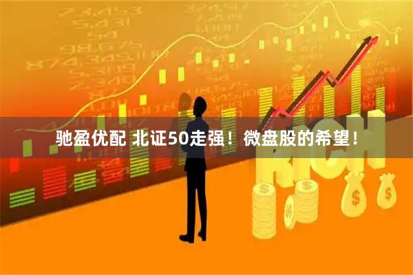 驰盈优配 北证50走强！微盘股的希望！